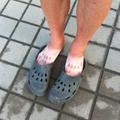 crocs.jpg