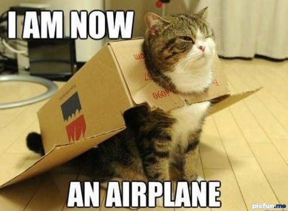 i-believe-i-can-fly.jpg